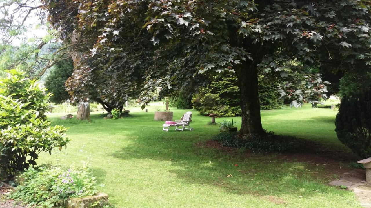 Bed and Breakfast Pied Des Milles Etang - Les Capucins Faucogney-et-la-Mer Esterno foto