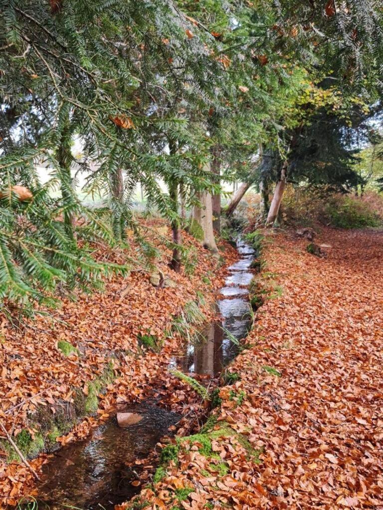 Bed and Breakfast Pied Des Milles Etang - Les Capucins Faucogney-et-la-Mer Esterno foto