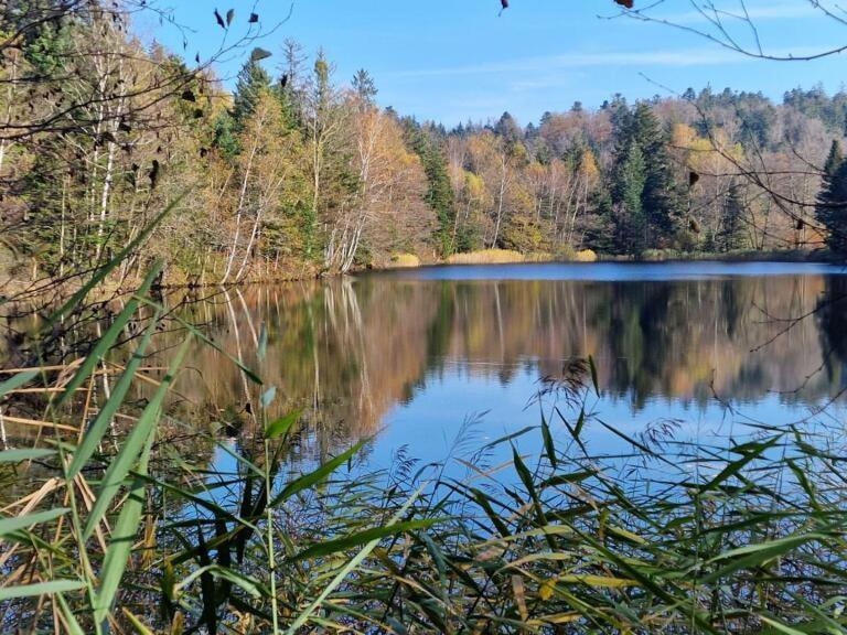 Bed and Breakfast Pied Des Milles Etang - Les Capucins Faucogney-et-la-Mer Esterno foto